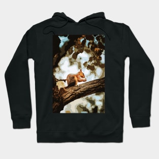 Squirrel cartoon Hoodie